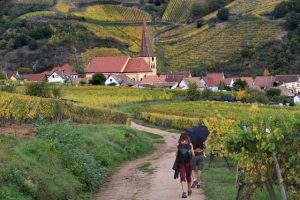 Bất động sản ở các vùng quê được ưa chuộng ngày một nhiều bởi giới nhà giàu châu Âu. Ảnh: David Silverman/Getty Images.